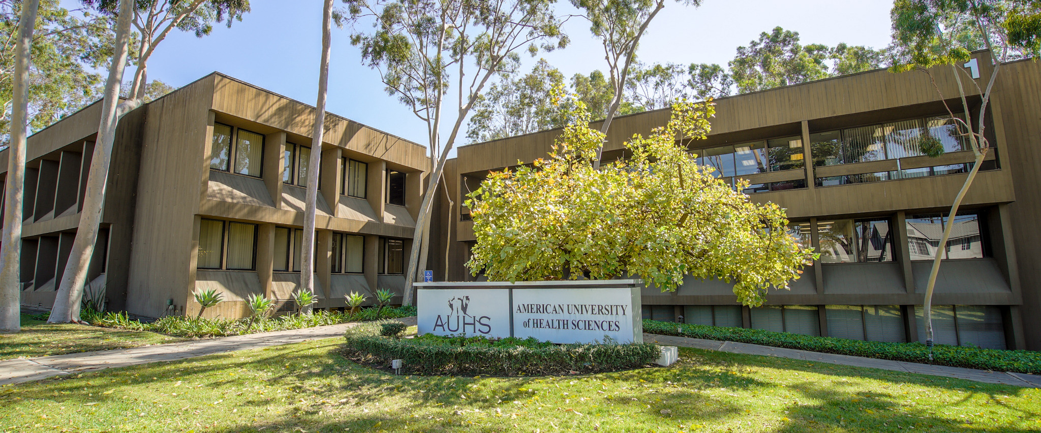 AUHS Staff 1 1 1